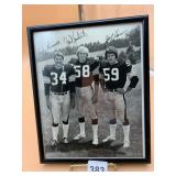 SIGNED PITTSBURGH STEELERS TEAM PHOTO, ANDY
