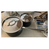 ALL CLAD LDT POTS WITH LIDS