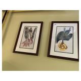 BOTANICAL PRINTS (2), FRAMED, NYMPHAEA ADVENA AND