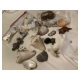 ASSORTED COLLECTION OF SEASHELLS, CORAL, STONES,