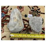 FOSSILIZED CORAL SPECIMENS (2), NATURAL GREY