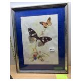 B. BALLESTAR SIGNED BUTTERFLY WATERCOLOR PRINT,