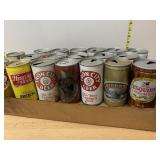 VTG BEER CANS INCLUDES IRON CITY, DUKE,