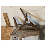 NATURAL DRIFTWOOD SCULPTURE, BRANCHED FORM.