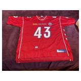 REEBOK NFL PITTSBURGH STEELERS TROY POLAMALU 2006