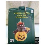 TARGET FIBER OPTIC CAT IN PUMPKIN HALLOWEEN