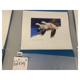 MARTIN R. MURK, 1977-78 FEDERAL MIGRATORY BIRD