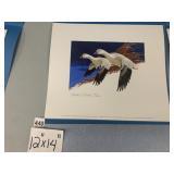 MARTIN R. MURK, 1977-78 FEDERAL MIGRATORY BIRD