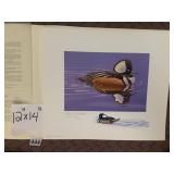 ALBERT EARL GILBERT, HOODED MERGANSER PRINT,
