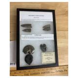 WORLD OF SCIENCE FOSSIL DISPLAY, INCLUDES