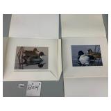 PHIL SCHOLER DUCK PRINT, 1983, SIGNED, NUMBERED