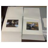 PAIR OF FEDERAL DUCK STAMP PRINTS, 1991-1992 BY