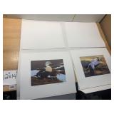 FEDERAL DUCK STAMP PRINTS, 1991-92 BY NANCY HOWE,