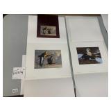 VTG FEDERAL DUCK STAMP PRINTS, 1990-91 BY JIM