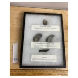 VTG FOSSIL DISPLAY, AMETHYST GEODE, WHALE