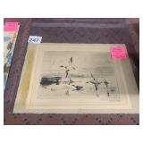 ANTHONY THIEME, CANADA GEESE, ETCHING ON PAPER,