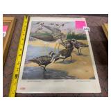 DUPONT SHORE BIRDS PRINT, 1917, ILLUSTRATED BY