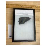FERN FOSSIL SPECIMEN, MOUNTED IN BLACK DISPLAY
