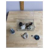 COLLECTION OF NATURAL SPECIMENS, INCLUDES