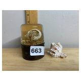 NATURE GEMS HERMIT CRAB EMBEDMENT, RESIN