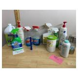 ASSORTED HOUSEHOLD CLEANING AND PERSONAL CARE