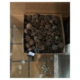 CARDBOARD BOX FILLED W/ NATURAL PINE CONES.