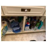 ASSORTED HOUSEHOLD CLEANING SUPPLIES, TOILET