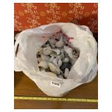 ASSORTED SEASHELLS, VARIOUS SIZES AND TYPES, IN
