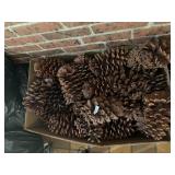 LARGE PINE CONES, NATURAL WOODEN DECOR, BOXED.