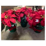 ARTIFICIAL POINSETTIA PLANTS, RED VELVET-TEXTURED