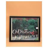 ANHEUSER-BUSCH CLYDESDALES 50TH ANNIVERSARY
