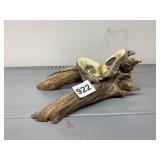 DRIFTWOOD DISPLAY, NATURAL WOOD BASE, OPEN OYSTER