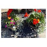 2 HANGING PLANTER BASKETS, WIRE FRAME, COCO LINER,