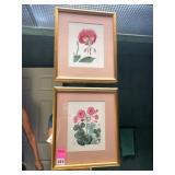 BOTANICAL PRINTS, FLORAL SUBJECTS, GILT FRAMES,