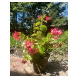 TERRACOTTA PLANTER, TAPERED FORM, EMBOSSED FLORAL