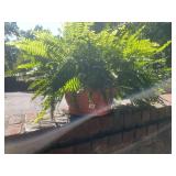 TERRACOTTA PLANTER, EMBOSSED GRAPE VINE MOTIF,