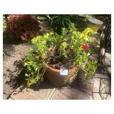TERRACOTTA PLANTER, INCISED LEAF AND GEOMETRIC
