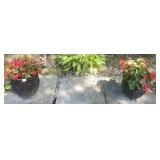 CAST IRON PLANTERS, BLACK FINISH, LATTICEWORK