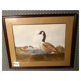 A.D. ROTHWELL PRINT, CANADA GEESE, WATERFRONT