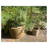 TERRACOTTA PLANTER W/ EMBOSSED RIM, STONEWARE