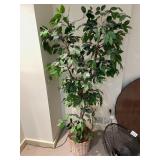 ARTIFICIAL FICUS TREE, WOVEN WICKER BASKET
