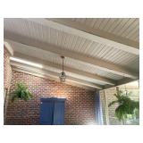 BOSTON FERN, HANGING BASKET, GREEN PLASTIC POT,