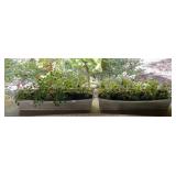PLASTIC PLANTER BOXES, RECTANGULAR, LIGHT GREY,