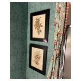 BOTANICAL FRUIT PRINTS, MALUS COMMUNIS AND PRUNUS