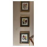 BOTANICAL PRINT, SYD EDWARDS, RUDBCKIA PURPUREA,