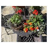 HANGING PLANTER BASKETS, WIRE FRAME, COCO LINER,