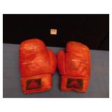 BOXING GLOVES TRIO HOLLANDER