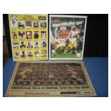 STEELER GROUP; HALL OF FAME PICTURE,