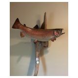 STUFFED TROUT  FISH ON DRIFT WOOD 18" W X 28" H