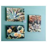 THREE 6" X 8" CATCUS PICTURES